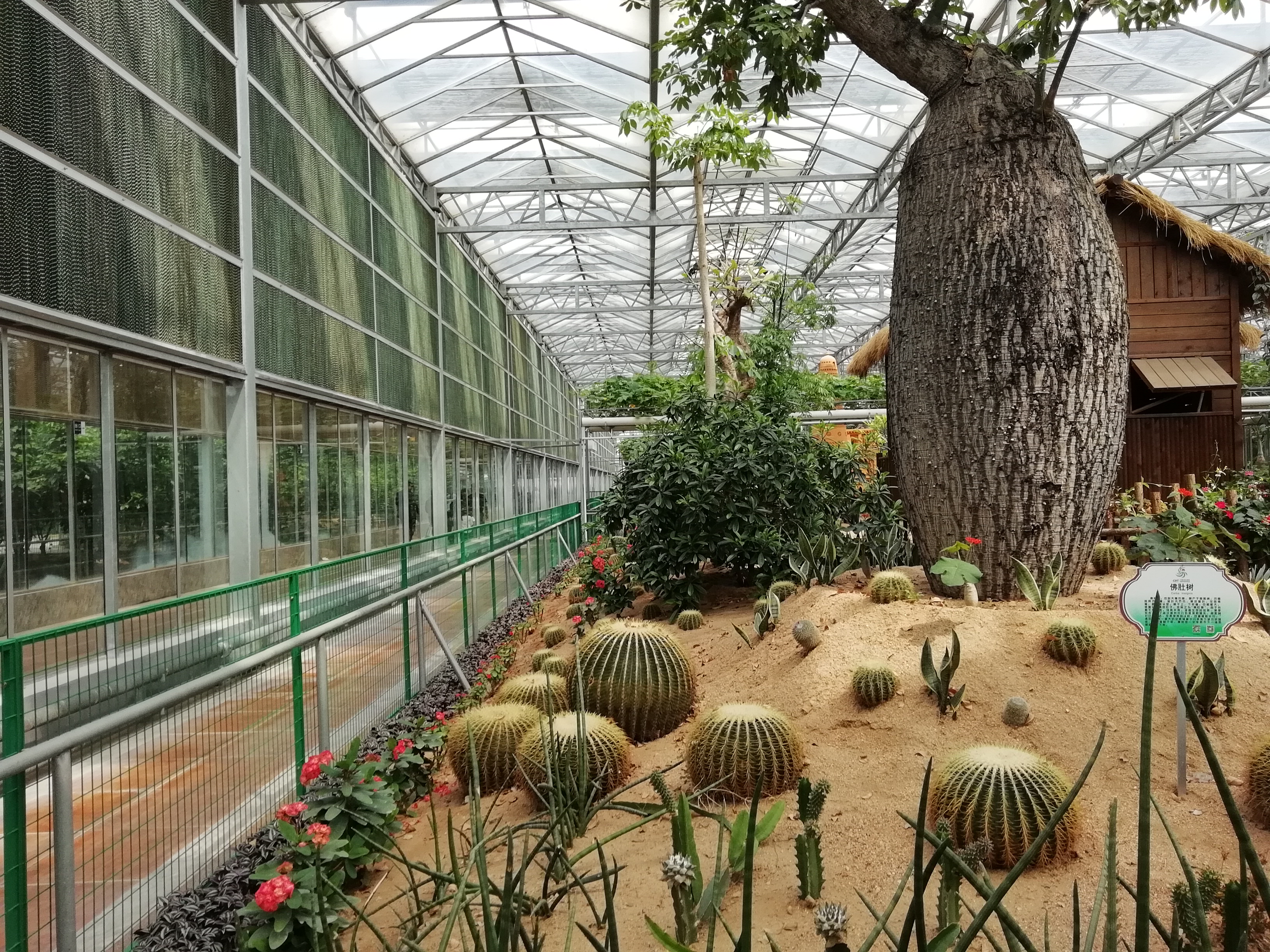 包含通辽台直播钱家店镇大棚项目的词条 第2张 包含通辽台直播钱家店镇大棚项目的词条 第2张