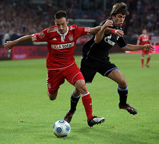 德拉古蒂诺维奇_(伊维卡·德拉古蒂诺维奇)  第1张