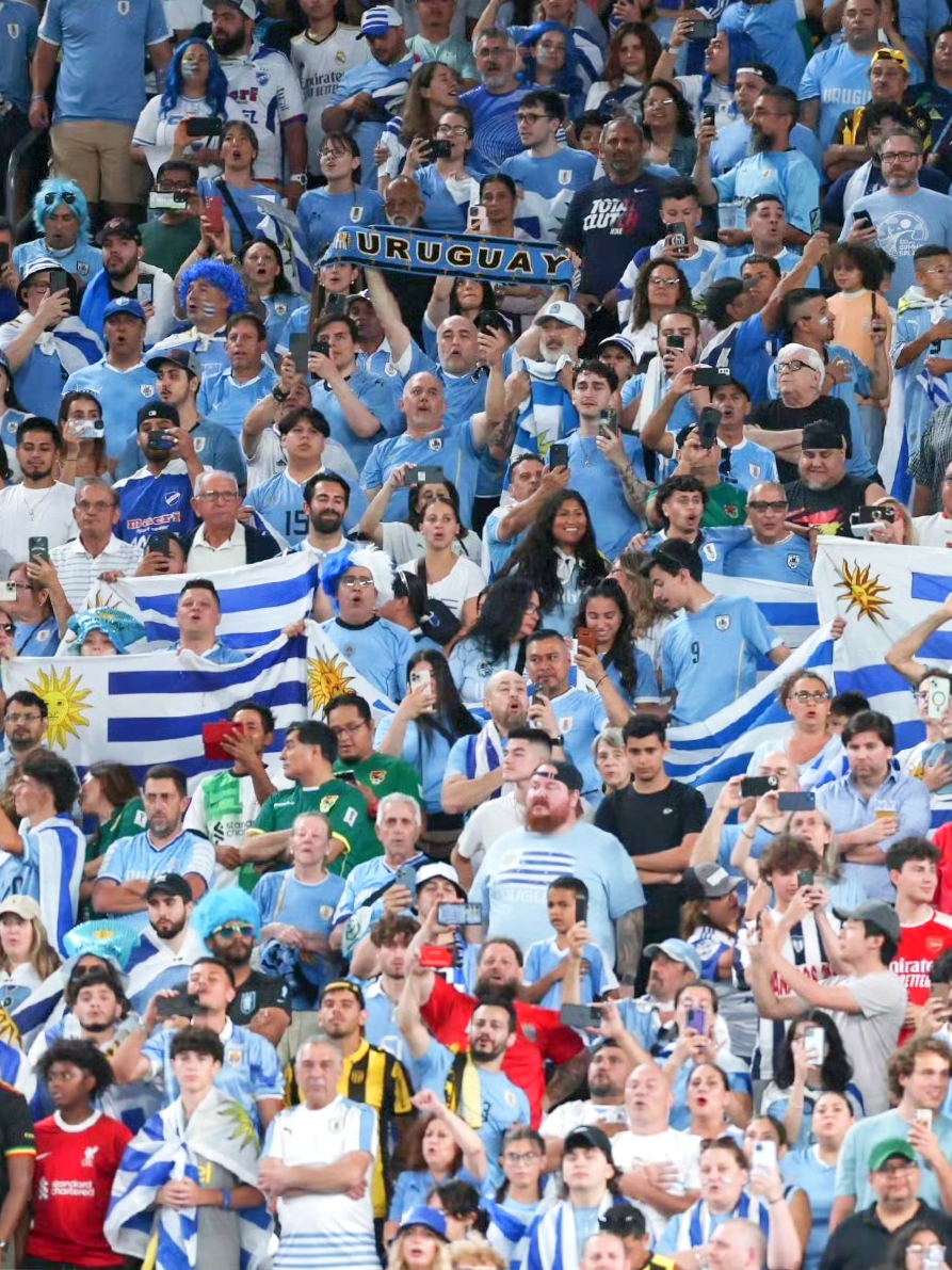 意大利乌拉圭历史战绩_(世界杯意大利乌拉圭)