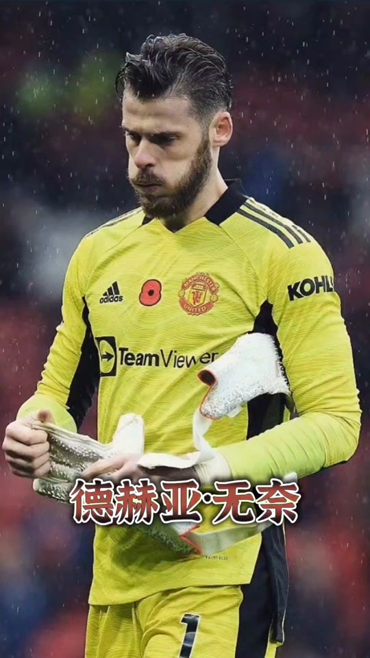 弗雷德_(弗雷德韦斯莱)  第1张