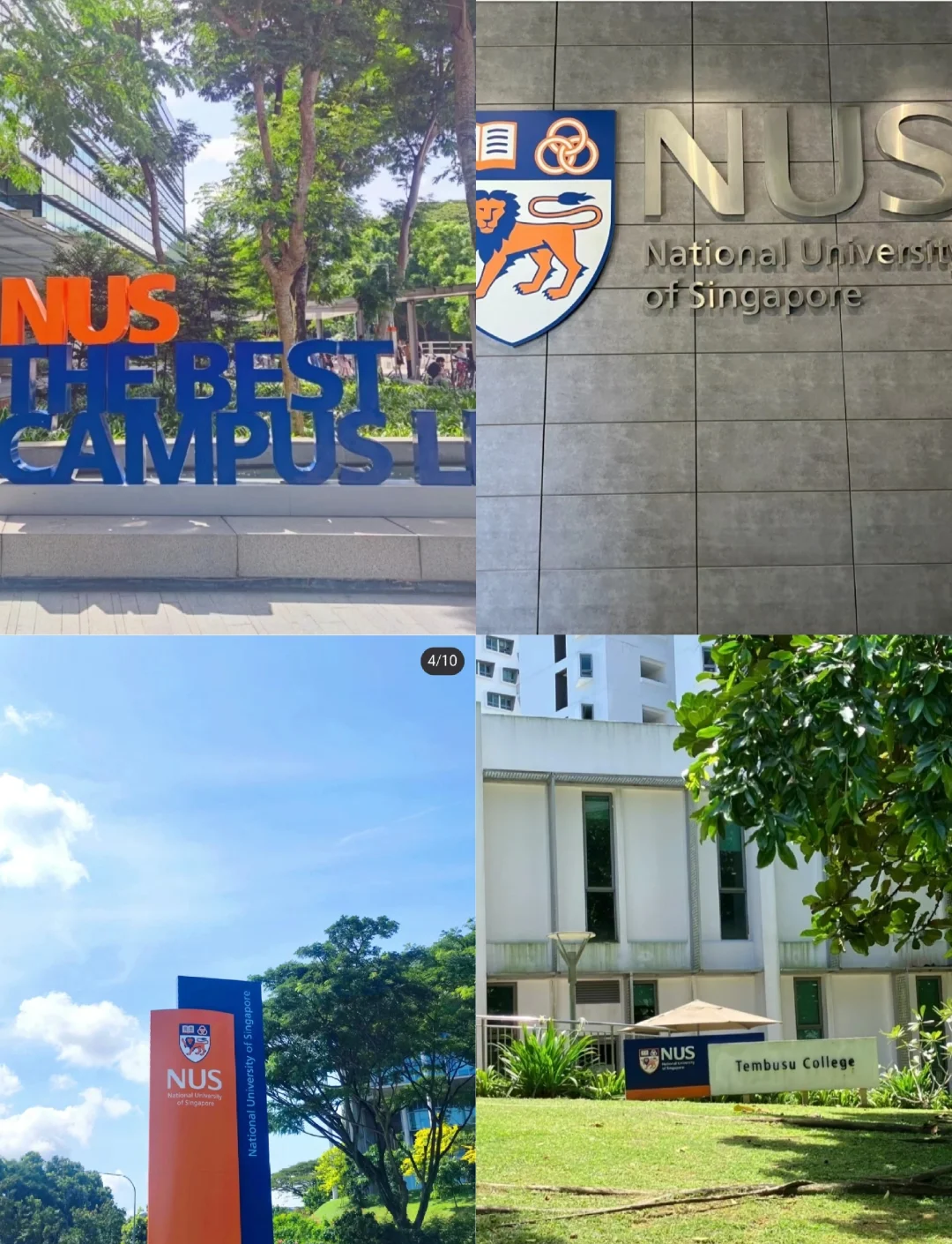 关于NCAA:加州大学戴维斯分校VS拉法叶学院的信息 第1张 关于NCAA:加州大学戴维斯分校VS拉法叶学院的信息 第1张