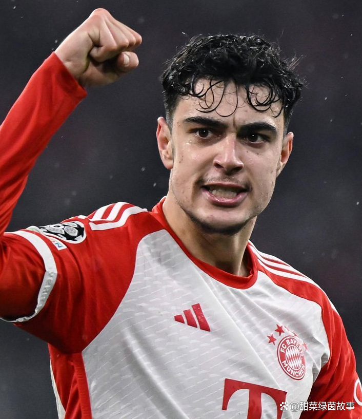 曼联接近签下格拉红魔中场迎来补充 第2张 曼联接近签下格拉红魔中场迎来补充 第2张