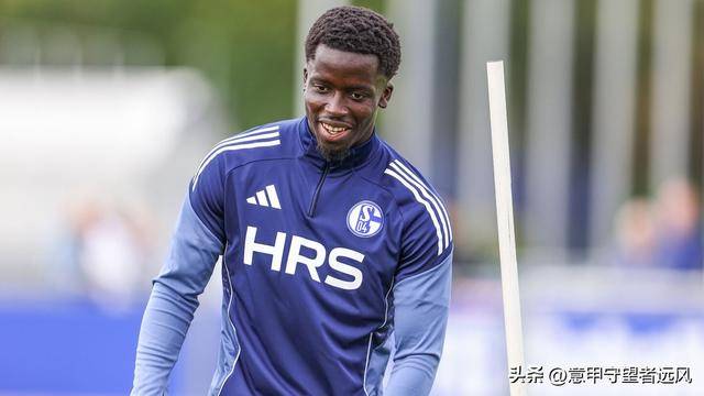 德乙沙尔克04VS达姆施塔特赛事预测沙尔克04攻防俱佳的简单介绍  第2张