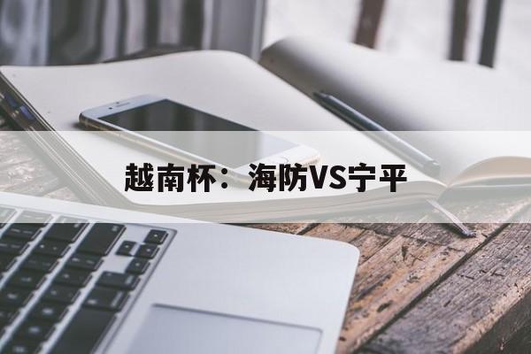 越南杯：海防VS宁平  第1张